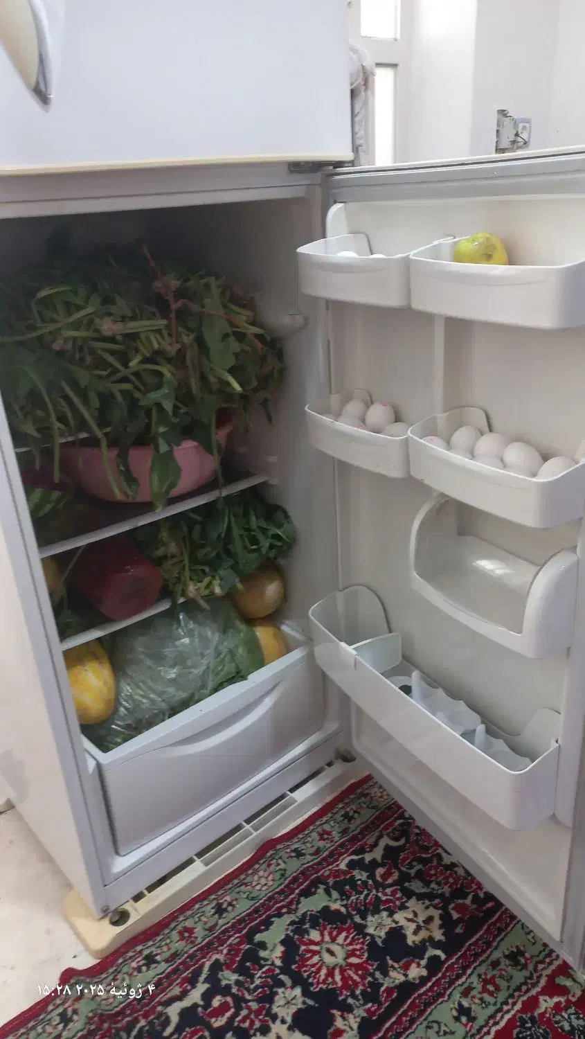 حراج لوازم خانه یخچال فرش|یخچال و فریزر|برازجان, |دیوار