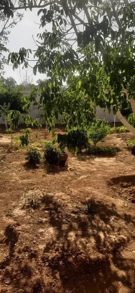 باغ ۱۰۰۰ متری زیر قیمت مجهز به آب شرب و برق|فروش زمین و ملک کلنگی|شیراز, فضل‌آباد|دیوار