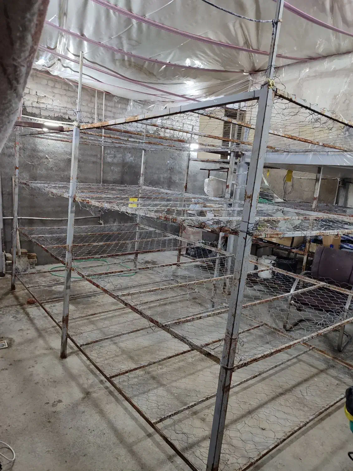 قفسه پرورش قارچ|خدمات پیشه و مهارت|تربت‌حیدریه, بالا ولایت|دیوار