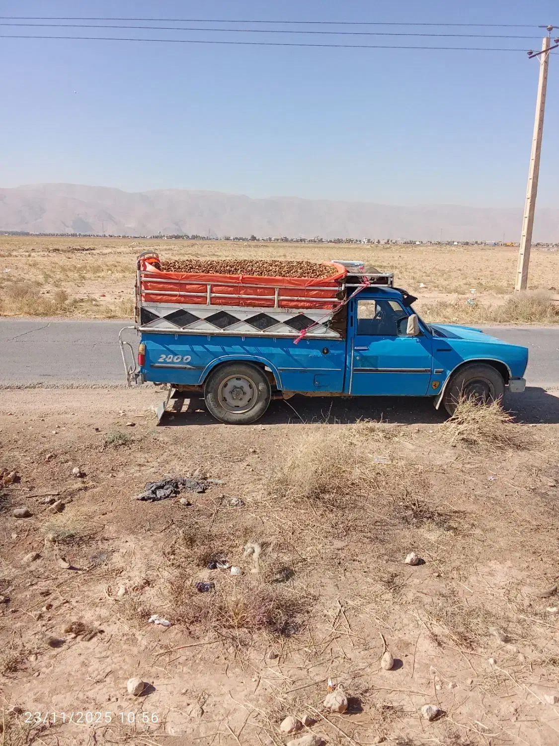 بلوط دامی وکاه لوبیا|لوازم جانبی حیوانات|زرقان, |دیوار