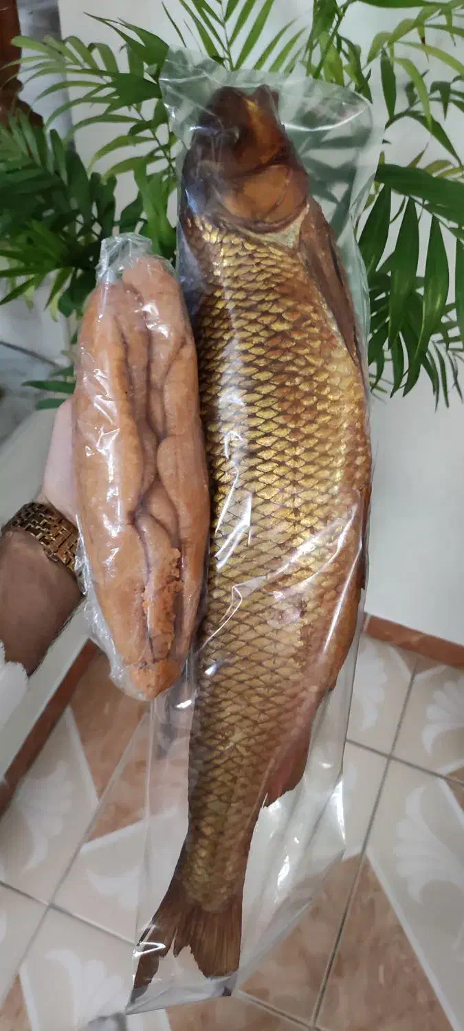 فروش انواع ماهی سفید دودی لوکس و اشبل|ماهی|رشت, چمارسرا|دیوار