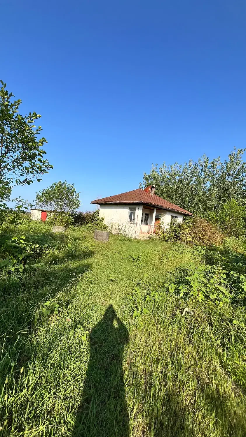 خانه و محوطه قدیمی باشرایط پرداخت چکی|فروش خانه و ویلا|رضوانشهر, |دیوار