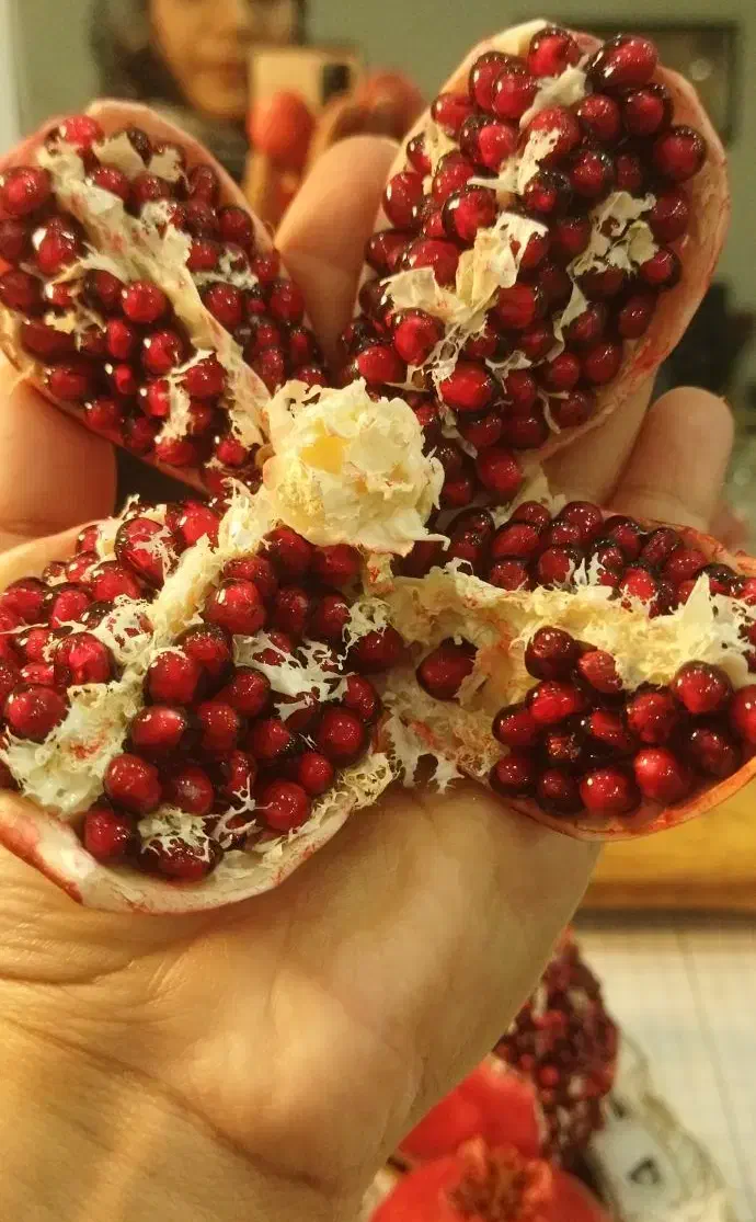 انار یلدایی شکفته و بسته  دست ساز|مجسمه، تندیس، ماکت|دزفول, |دیوار