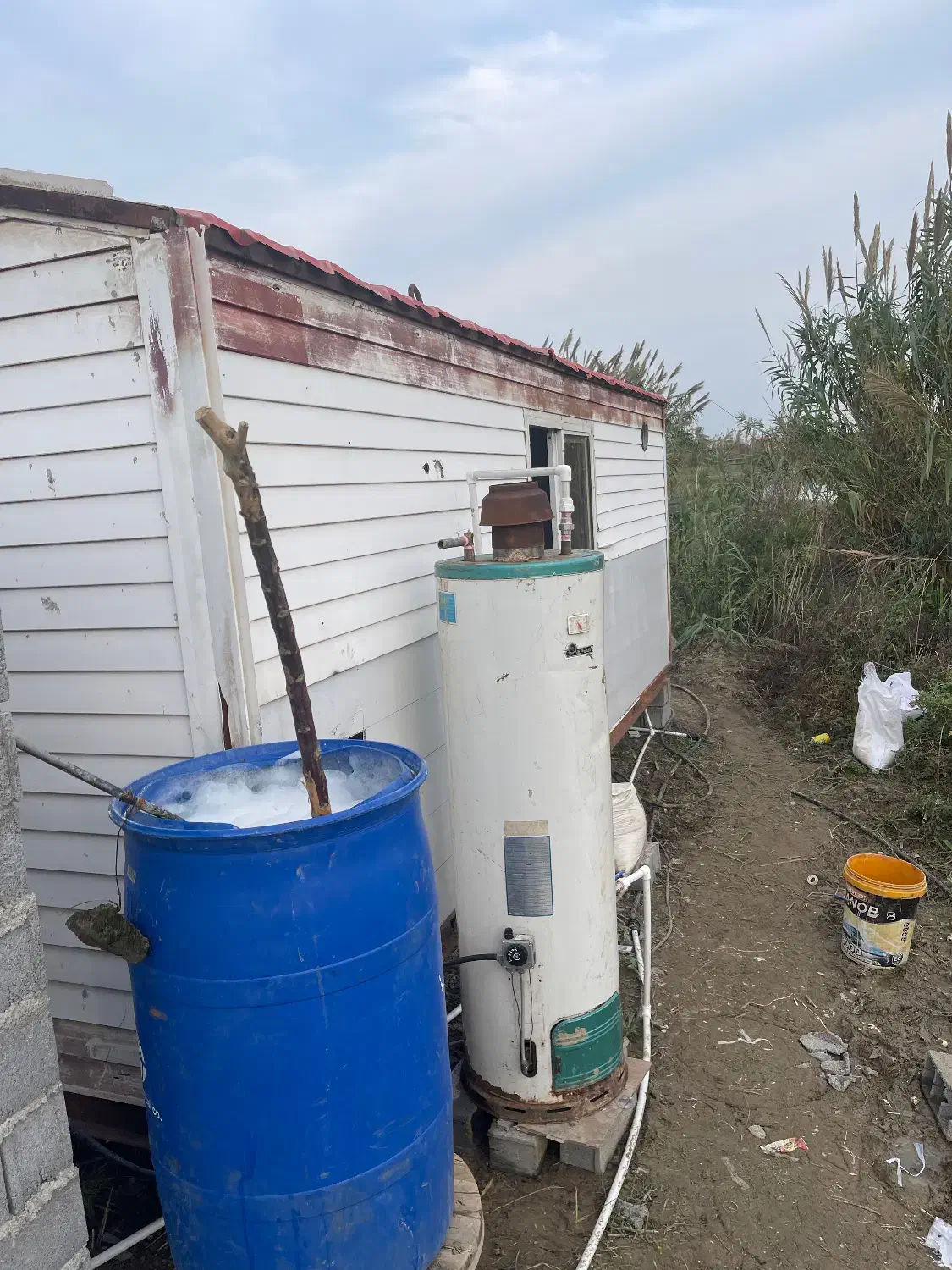 نیرو ماهر می‌خوام  گلخانه خیار با حقوق خوب|استخدام صنعتی، فنی، مهندسی|ساری, |دیوار