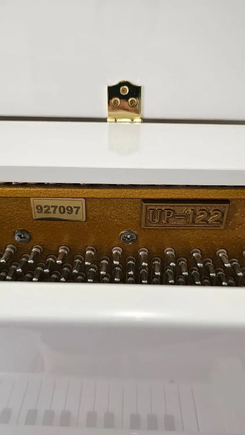 پیانو در حد صفر|پیانو، کیبورد، آکاردئون|تبریز, |دیوار