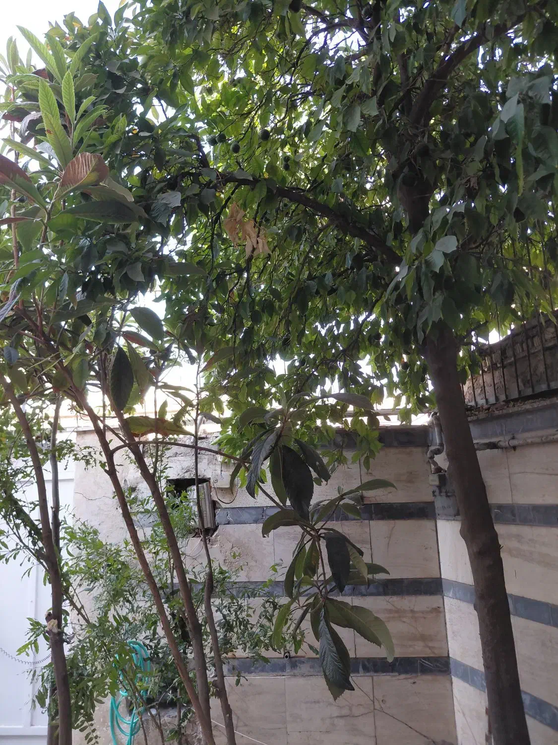 مسافر خانه/سوئیت/اتاق /منزل ویلایی روزانه ماهانه|اجارهٔ کوتاه‌مدت آپارتمان و سوئیت|شیراز, قصرالدشت|دیوار