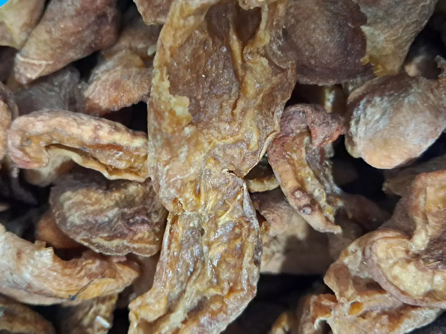 پنیرگاوی پرچرب محلی|خوردنی و آشامیدنی|کرج, آق تپه|دیوار