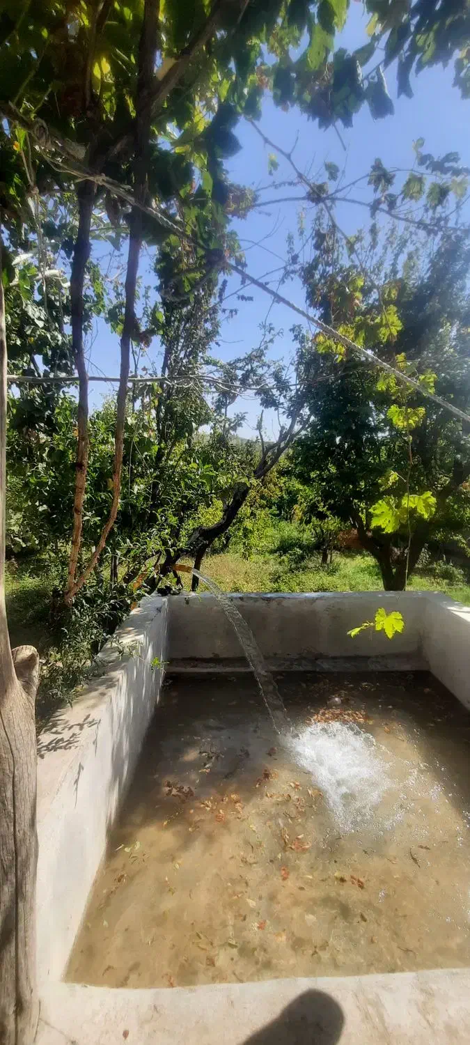 چاه کنی|خدمات پیشه و مهارت|اسفراین, |دیوار