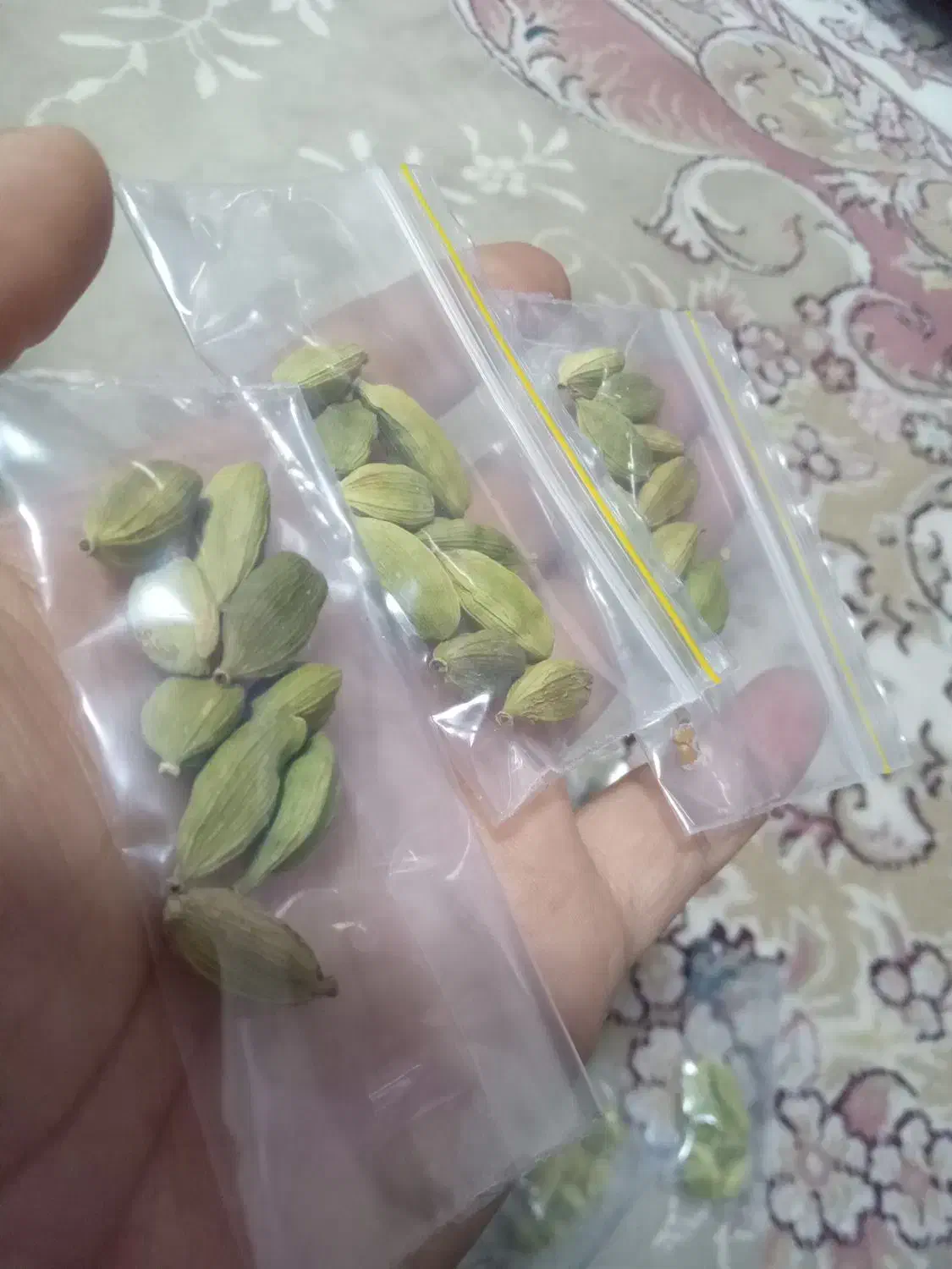 هل سبز|خوردنی و آشامیدنی|اهواز, پردیس|دیوار