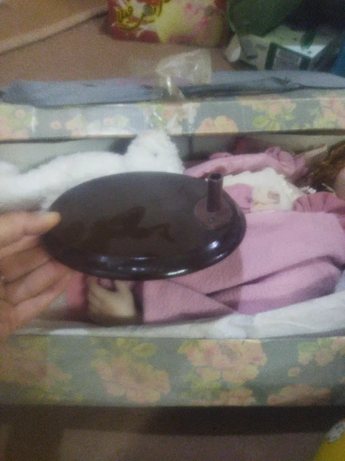 عروسک بزرگ|اسباببازی بچه|کارون, |دیوار