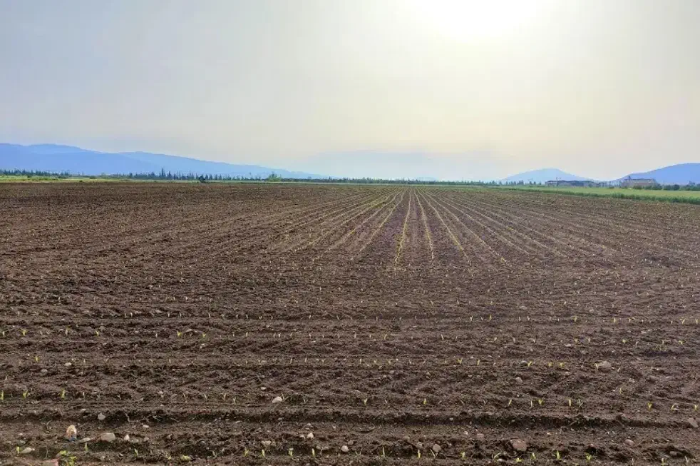 اجاره زمین کشاورزی و آب|اجارهٔ دفتر صنعتی، کشاورزی، تجاری|شال, |دیوار