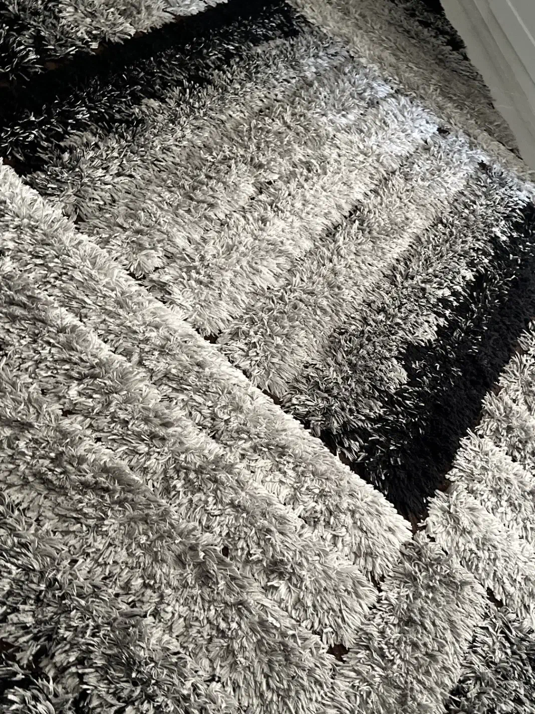 فرش‌ 4 متری|فرش|شیراز, فرهنگ شهر|دیوار