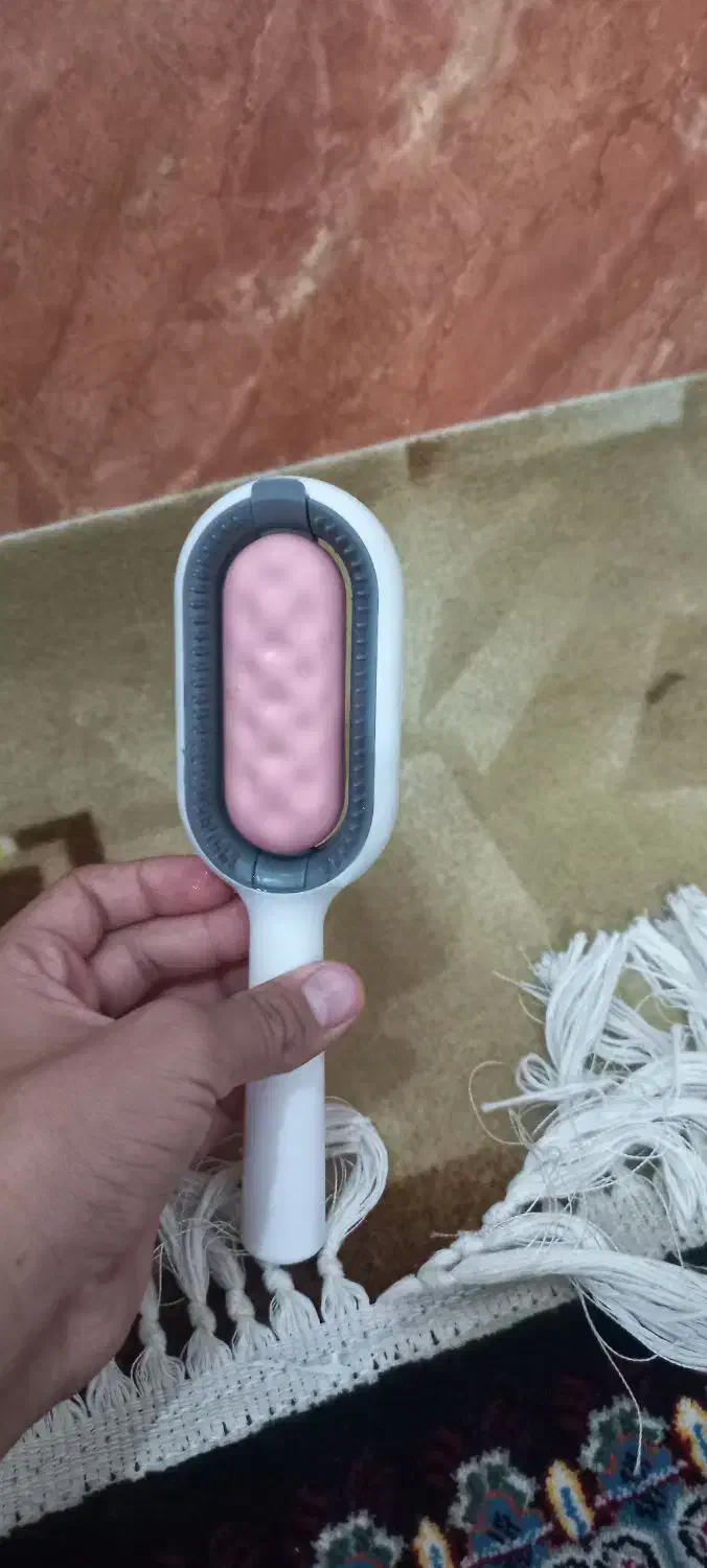 وسایل گربه|لوازم جانبی حیوانات|میناب, |دیوار