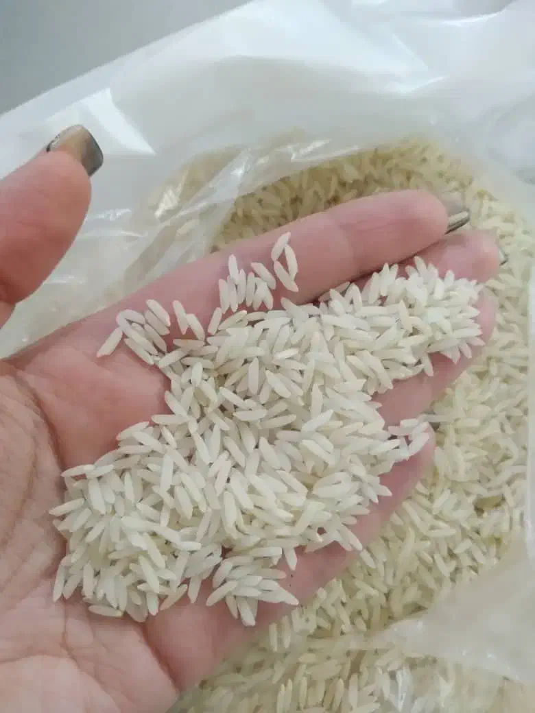 برنج استانه جواهری|خوردنی و آشامیدنی|تهران, مهرآباد جنوبی|دیوار