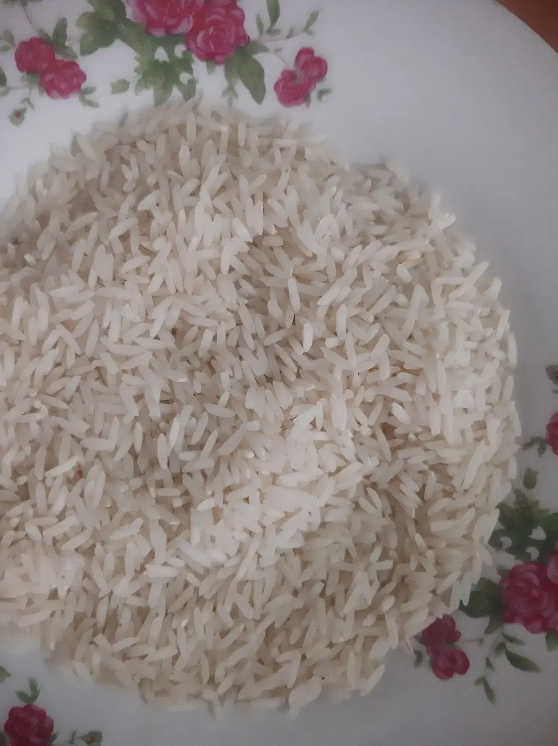 برنج هاشمی محصول امسال سنگر ۳۰۰|خوردنی و آشامیدنی|سنگر, |دیوار