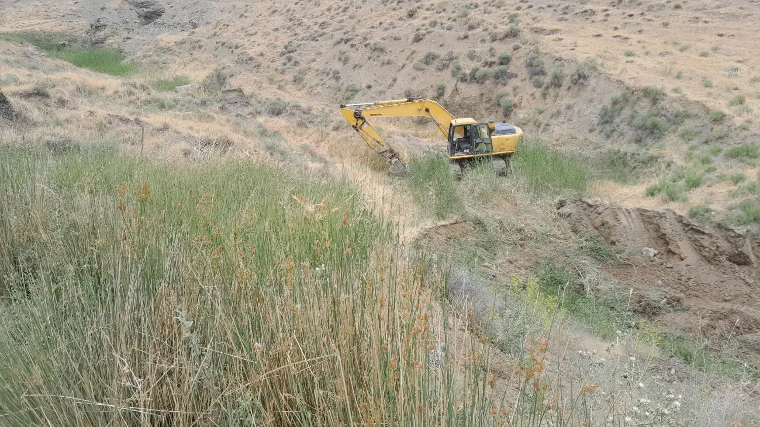 بیل اجاره ای|خودرو سنگین|نهاوند, |دیوار