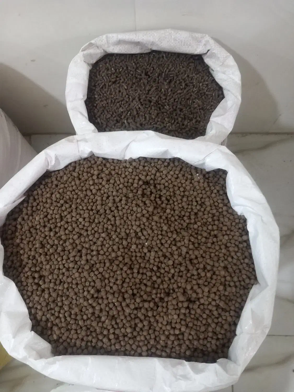 خوراک ماهی|ماهی|کردکوی, |دیوار