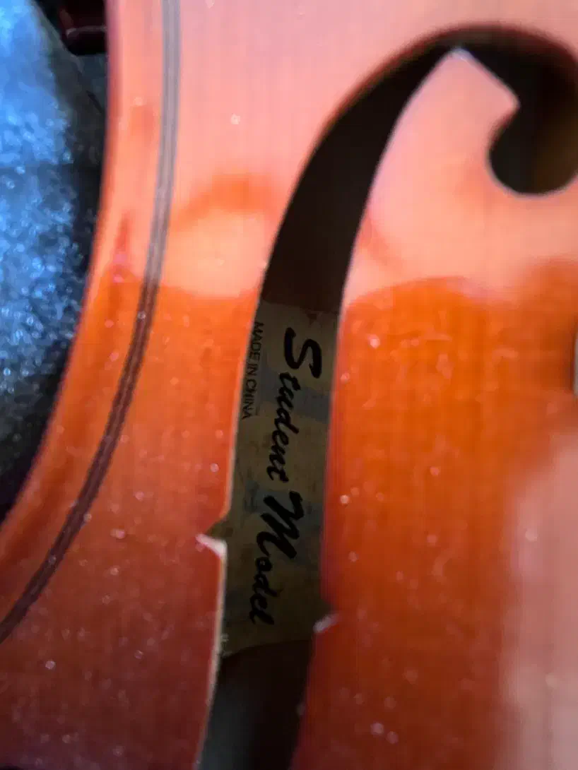 ویالون|ویولن|ارومیه, |دیوار