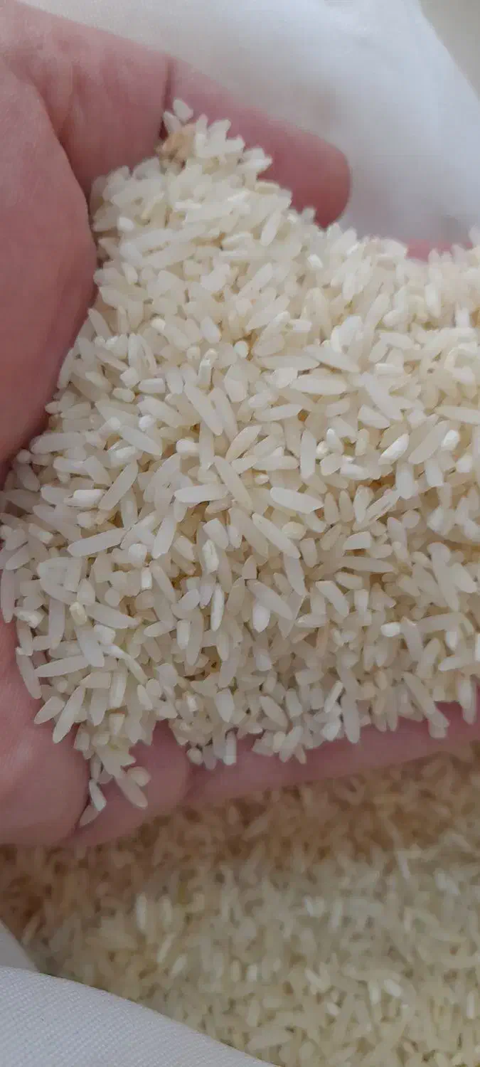 برنج سرلاشه کشت دوم فوق معطر     نیم دانه فوق معطر|خوردنی و آشامیدنی|اصفهان, رزمندگان|دیوار