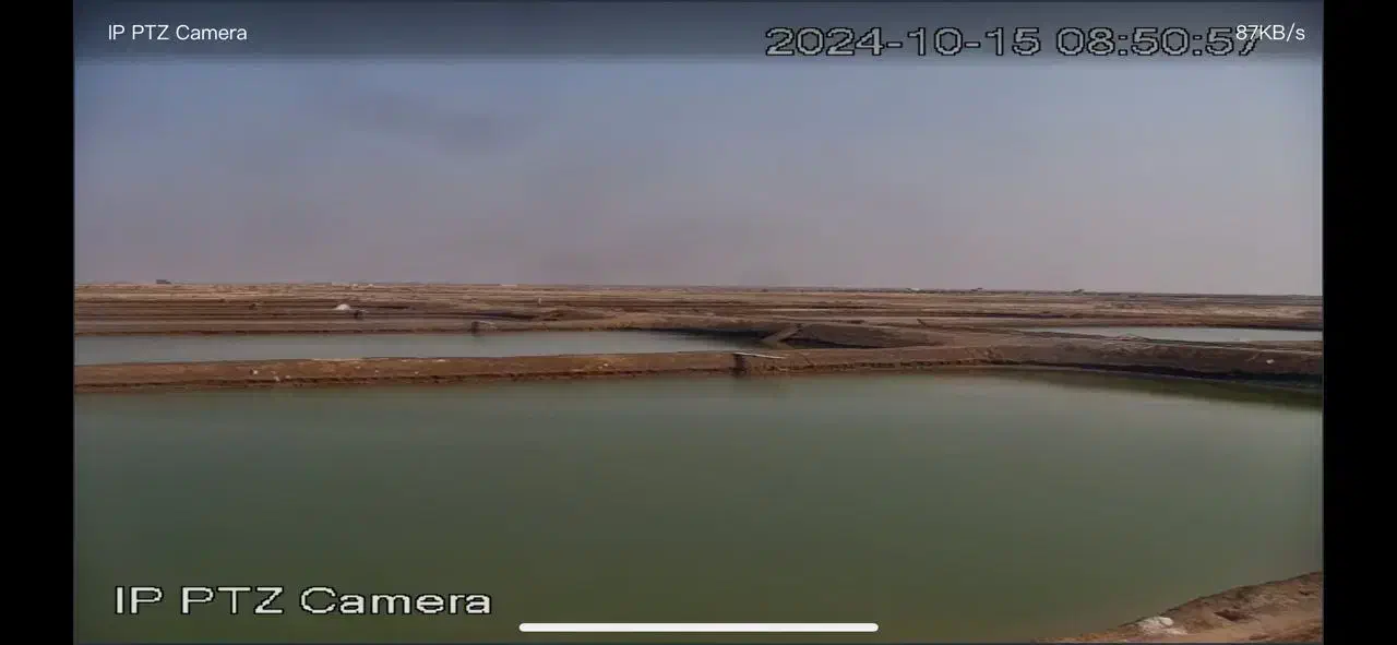 زمین 200 هکتاری پرورش میگو|فروش دفتر صنعتی، کشاورزی، تجاری|تخت, |دیوار