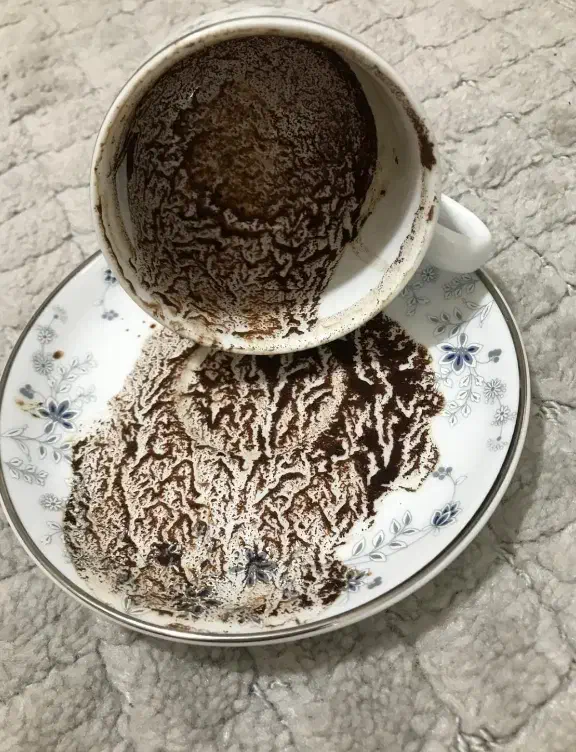 قهوه و تاروت وفال|خدمات پذیرایی، مراسم|اهواز, فاز ۲ پادادشهر|دیوار