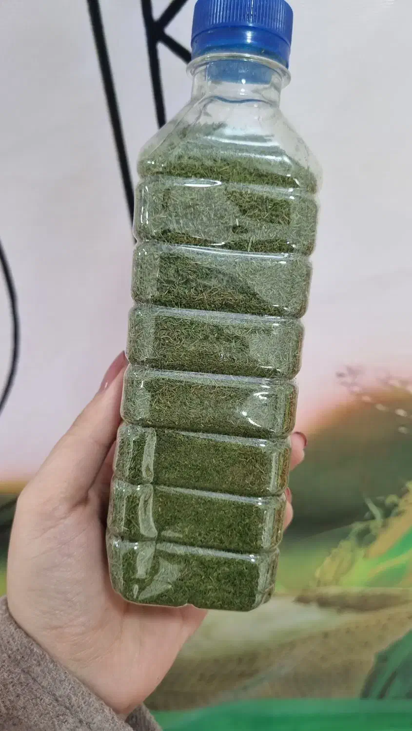 شوید خشک|خوردنی و آشامیدنی|رشت, کوی عرفان|دیوار