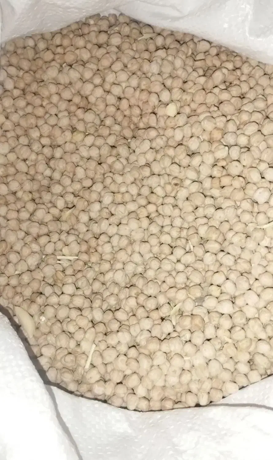 نخود دیمی|خوردنی و آشامیدنی|جوکار, |دیوار