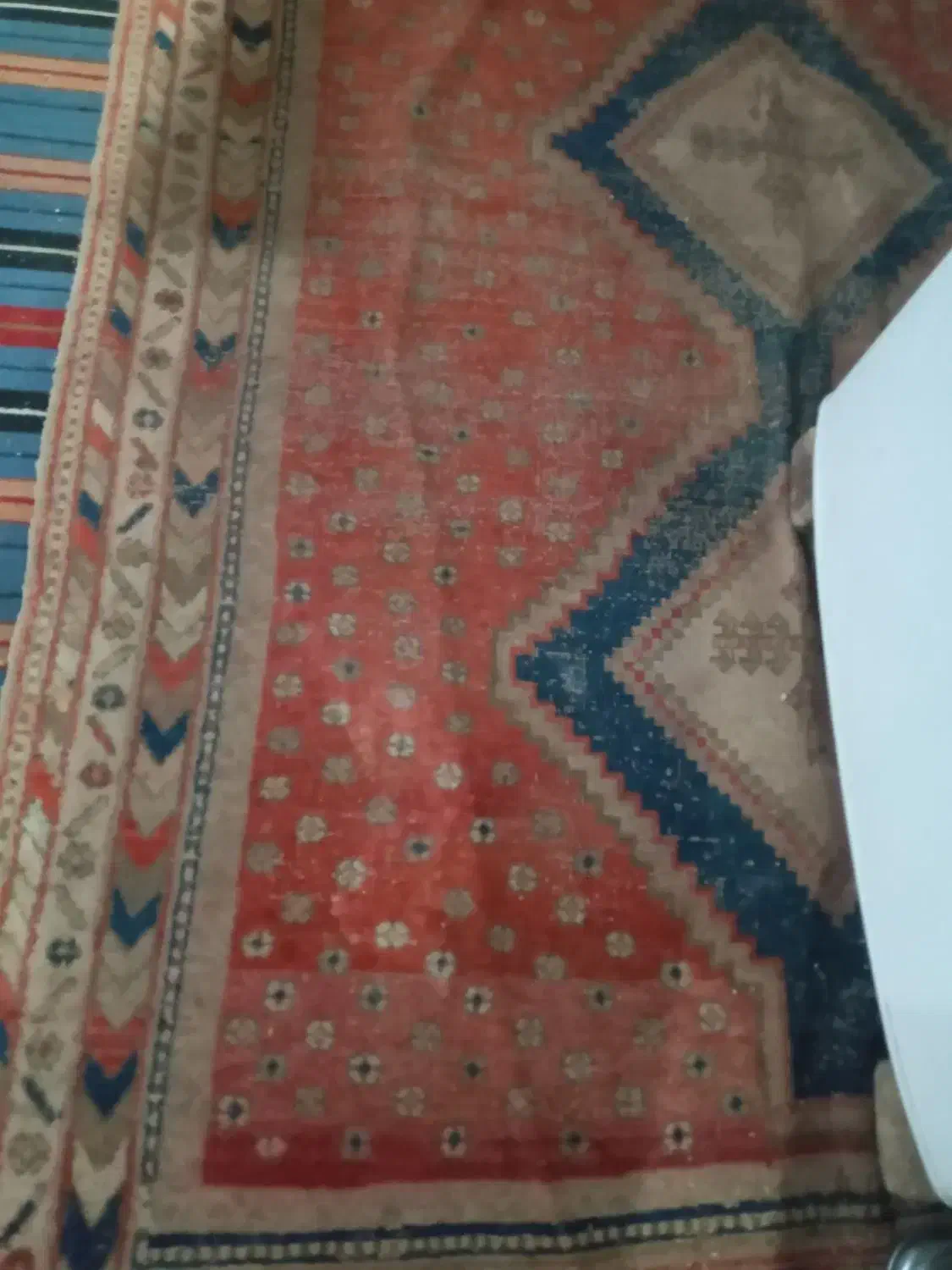 گلیم فرش|گلیم، جاجیم، گبه|راین, |دیوار