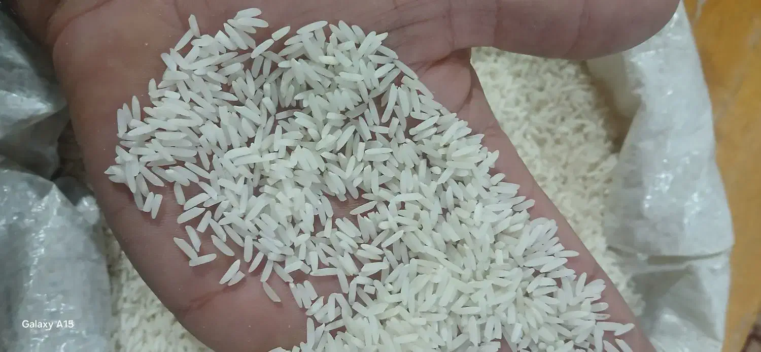 برنج هاشمی|خوردنی و آشامیدنی|رشت, لاکان|دیوار