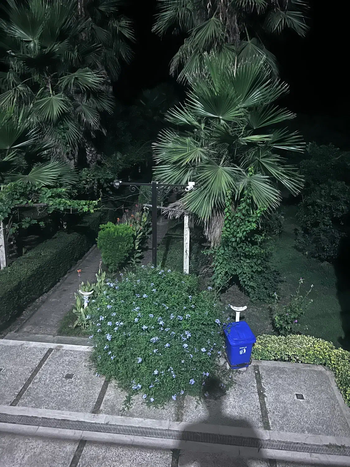 سرایدار در نور مازندران|استخدام سرایداری و نظافت|ایزدشهر, |دیوار