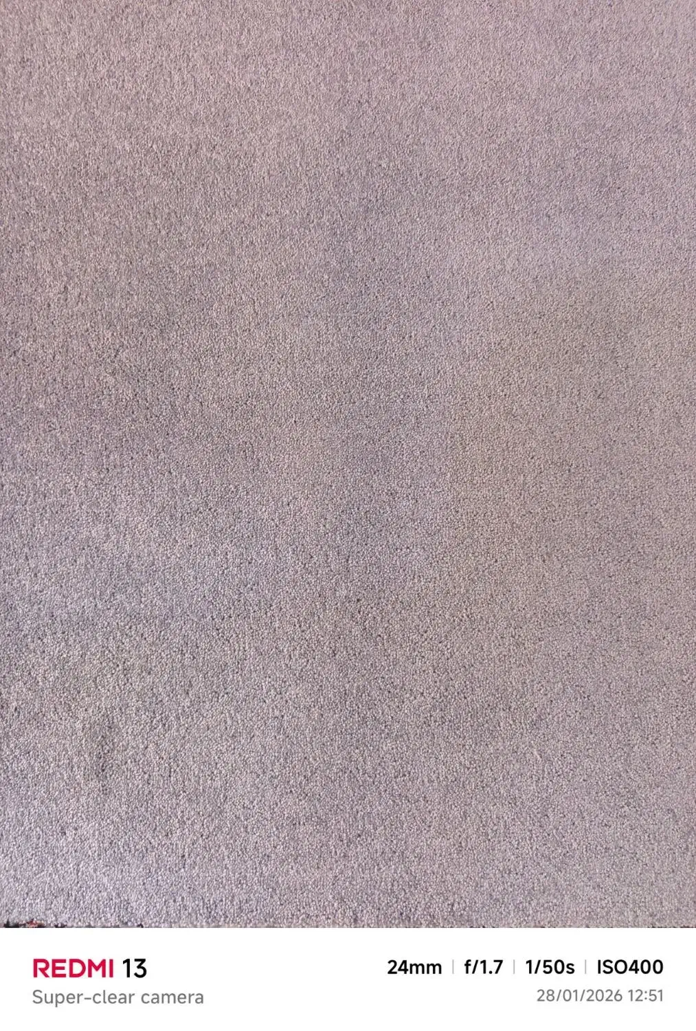 موکت پالاز|موکت|آبادان, |دیوار