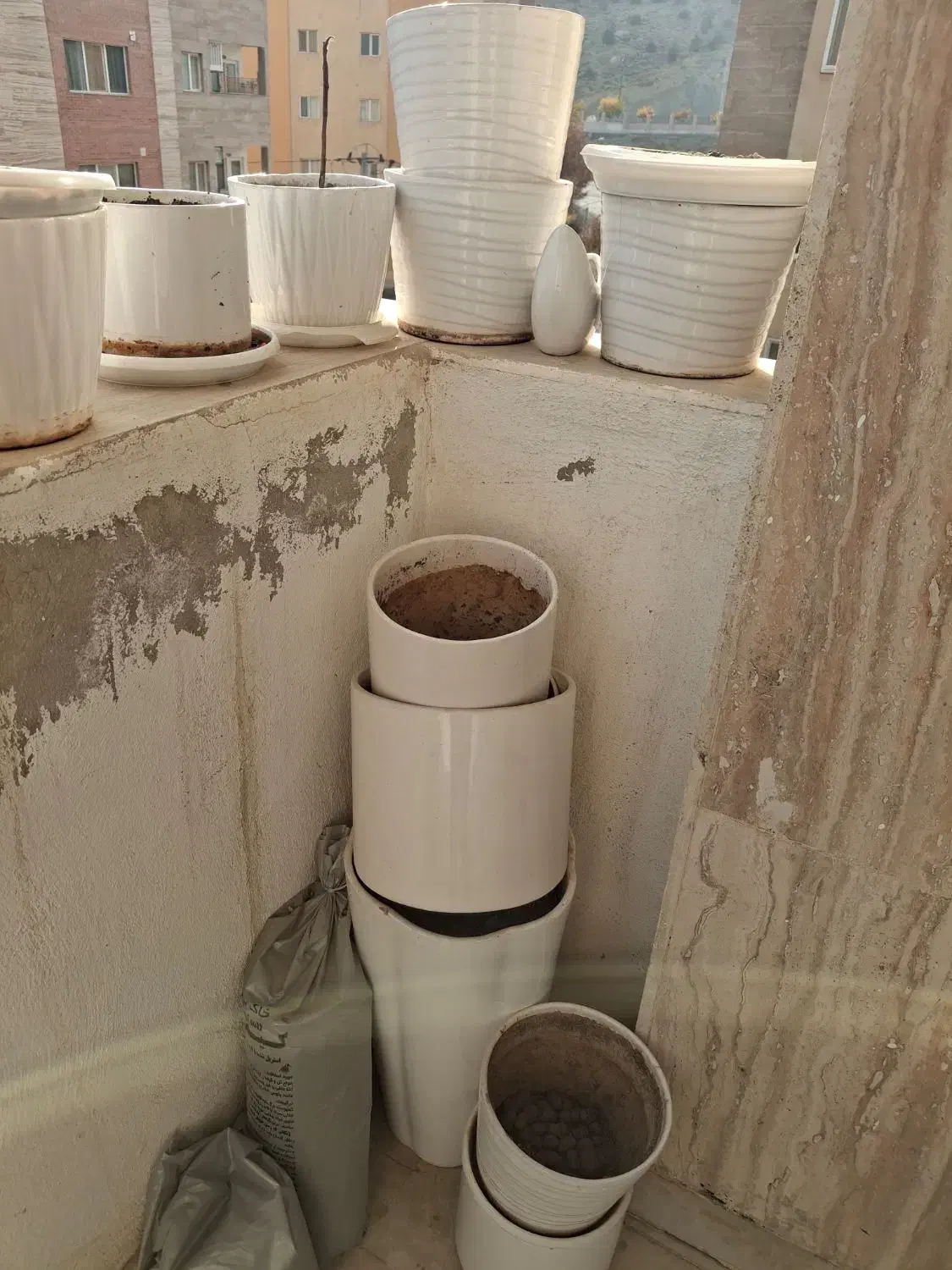 گلدان سرامیکی|گل و گیاه طبیعی|طرقبه, |دیوار