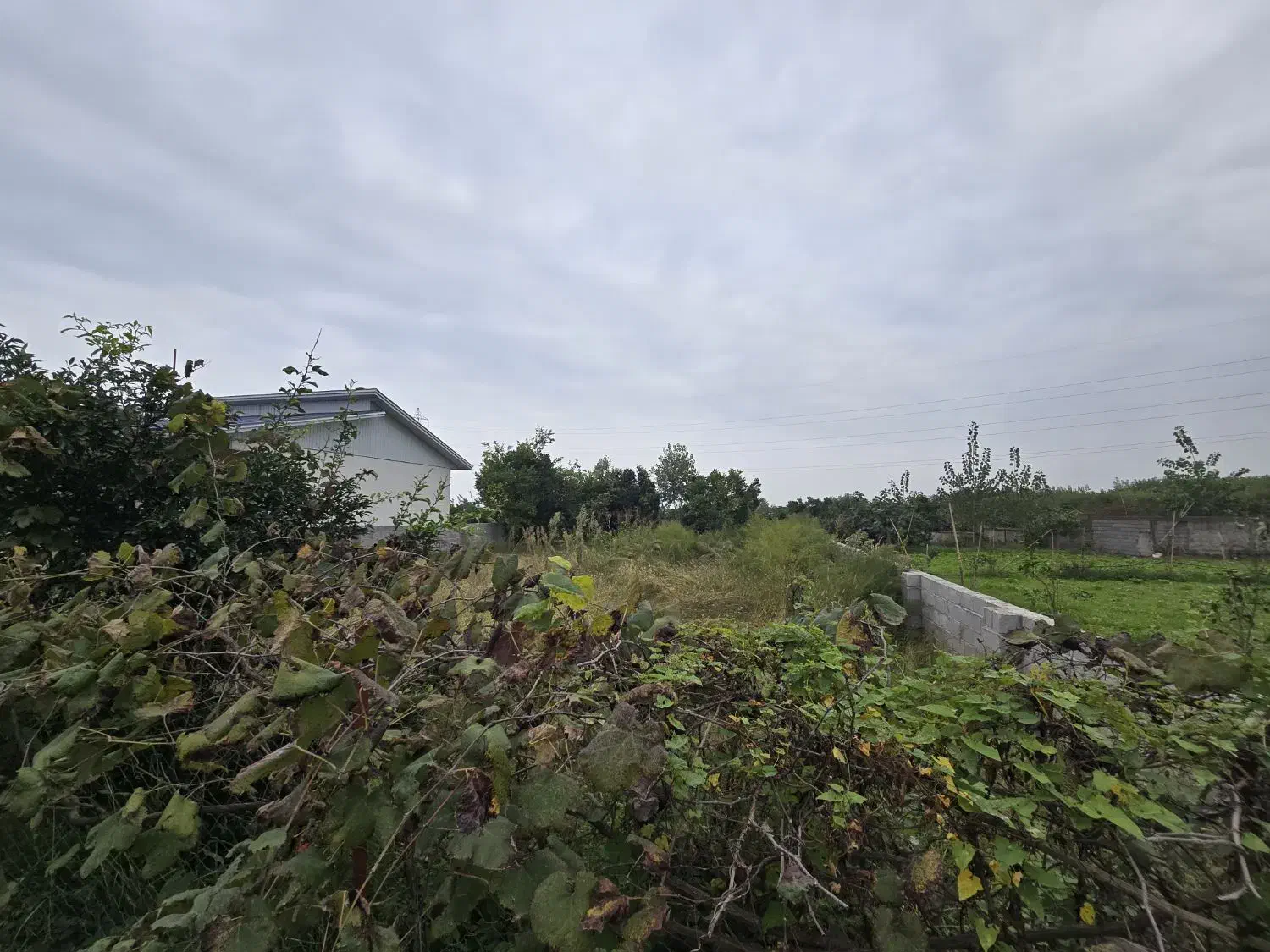 ۲۲۵ متر زمین مسکونی دور دیوار روستایی رضوانشهر|فروش زمین و ملک کلنگی|رضوانشهر, |دیوار
