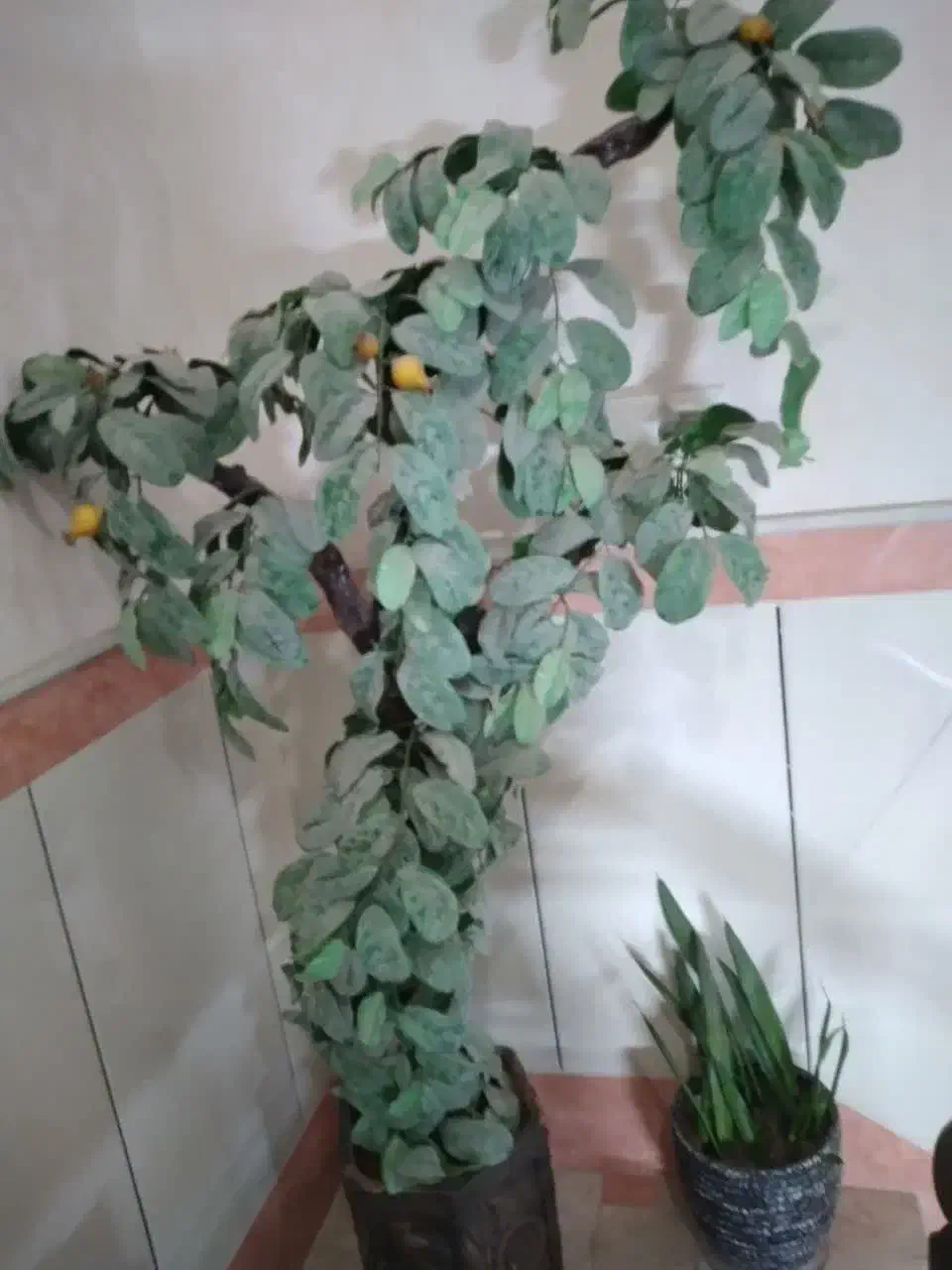 شلف ودرخت انار|گل مصنوعی|قم, باجک یک|دیوار