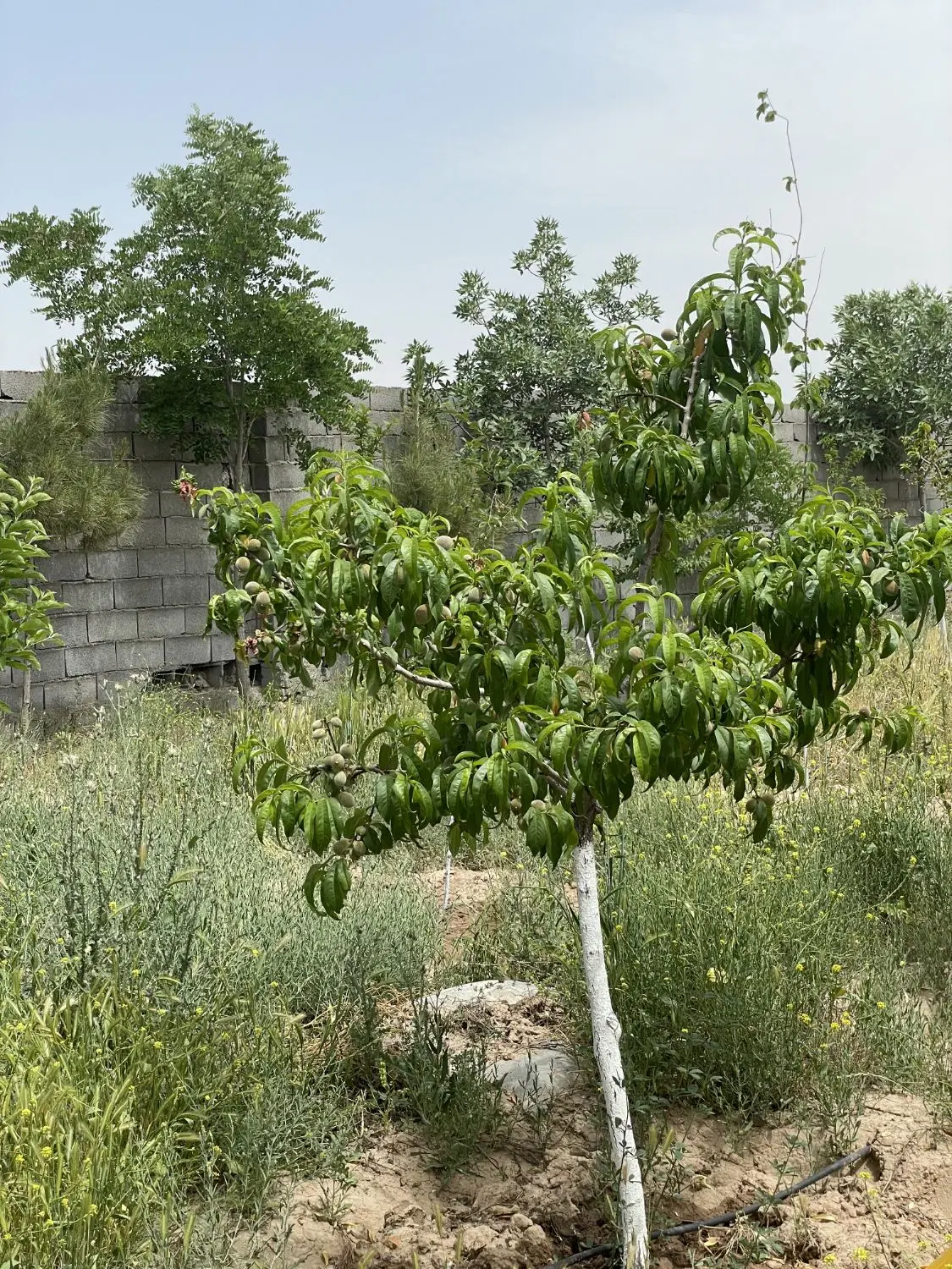 تصویر 9