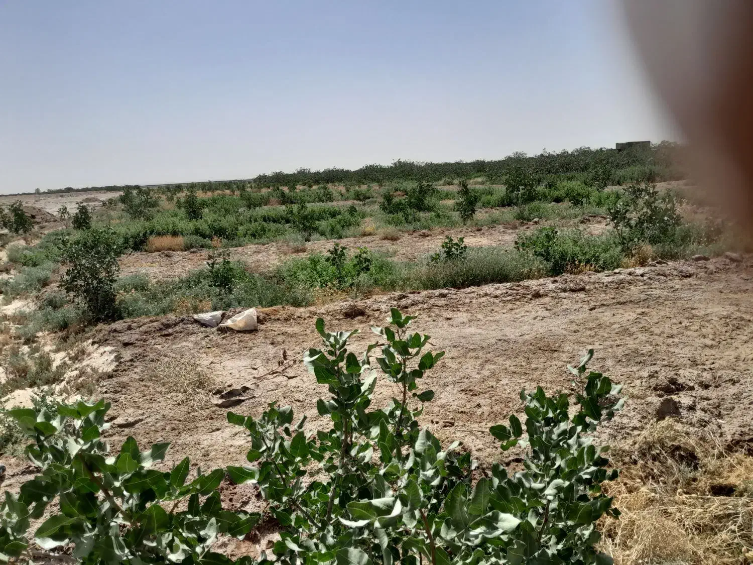 دربستی|خدمات حمل و نقل|کاشان, فین کوچک|دیوار