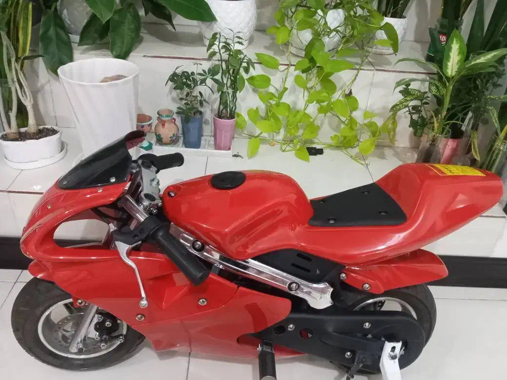 مینی ریس و مینی کراس|اسباببازی|ری, علایین|دیوار