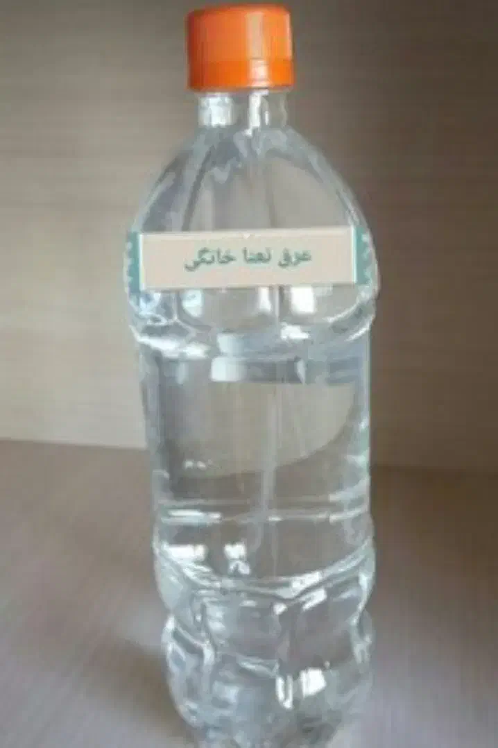 عرق نعنا|خوردنی و آشامیدنی|نیشابور, فضل|دیوار