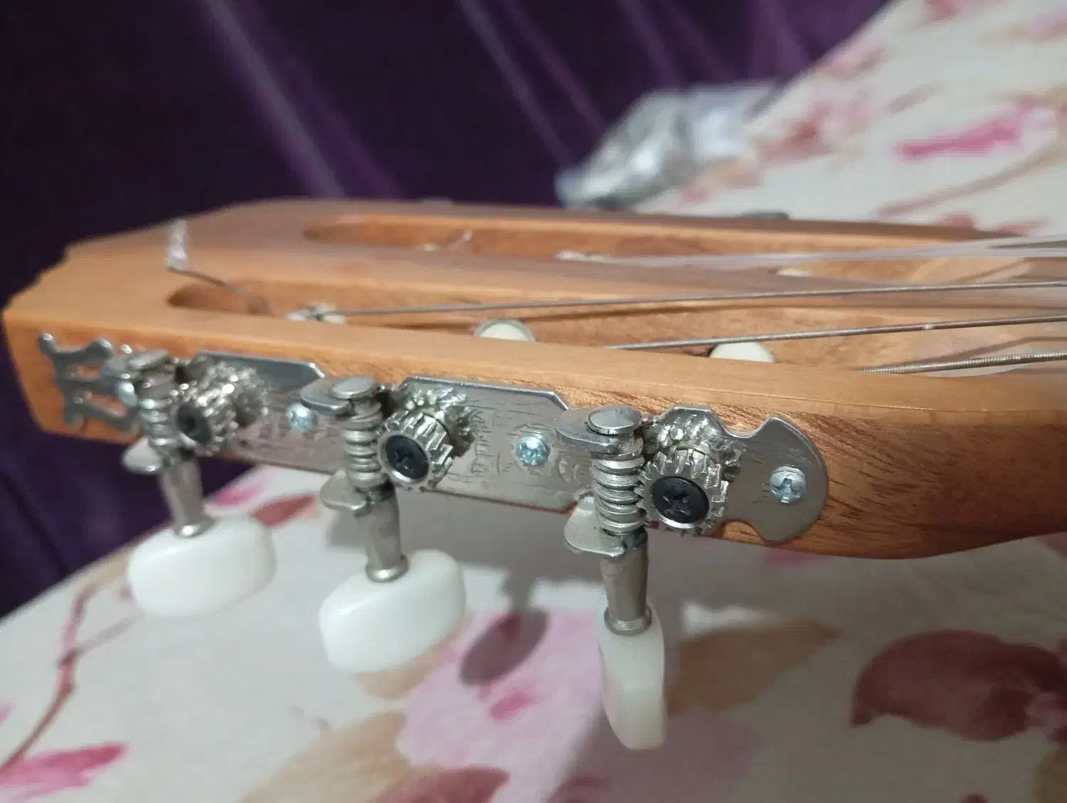 گیتار|گیتار، بیس، امپلیفایر|نیشابور, سرآب کوشک|دیوار