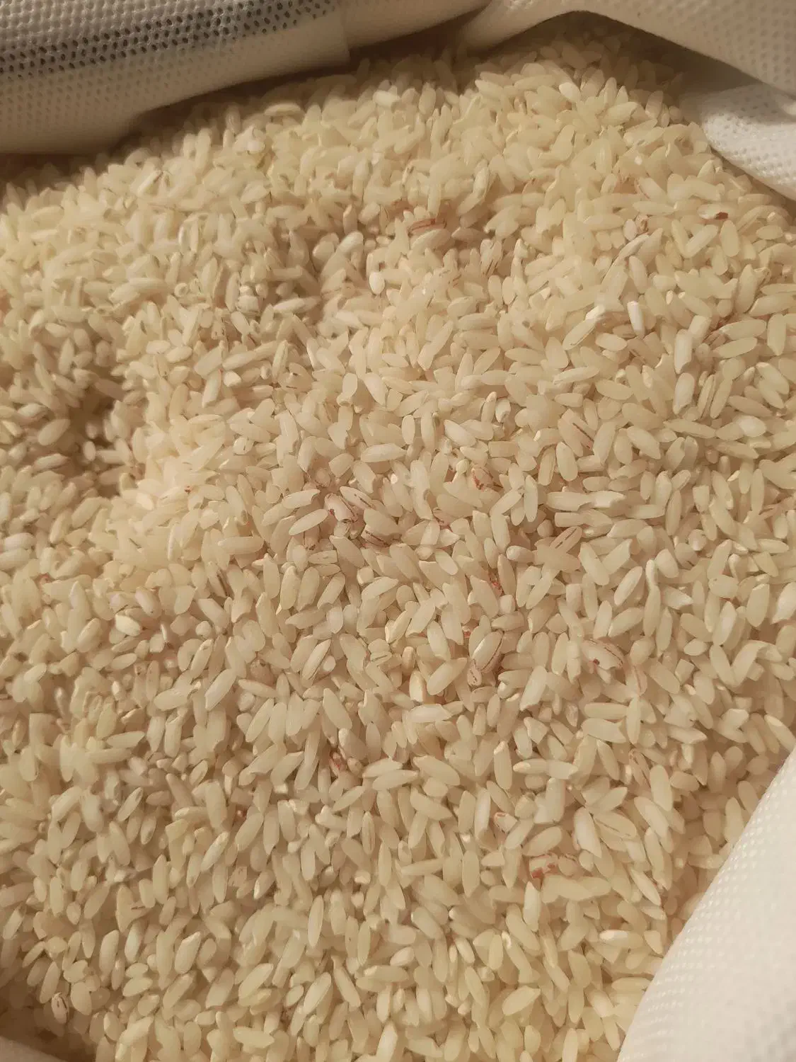 برنج چمپا اصل سوسن هر کیلو ۳۰۰ هزار تومن|خوردنی و آشامیدنی|ایذه, |دیوار