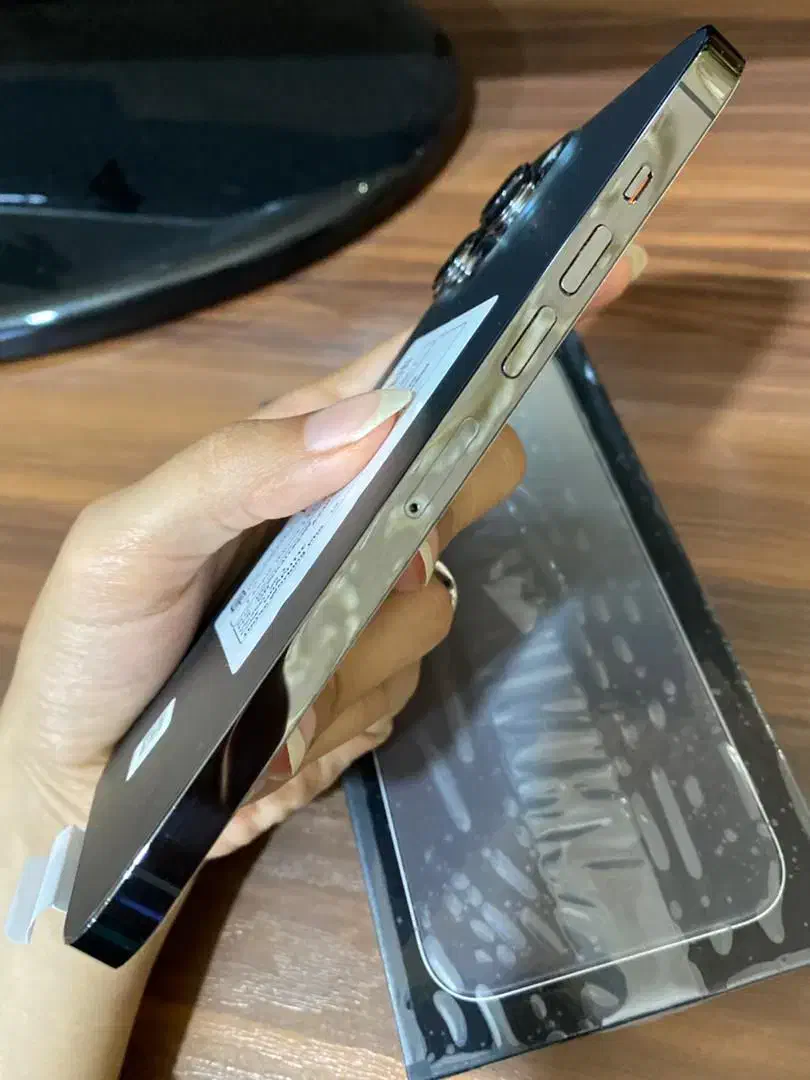 یک عدد گوشی ۱۳ پرومکس و یک عدد ۱۳ پرو|موبایل|خرمشهر, |دیوار