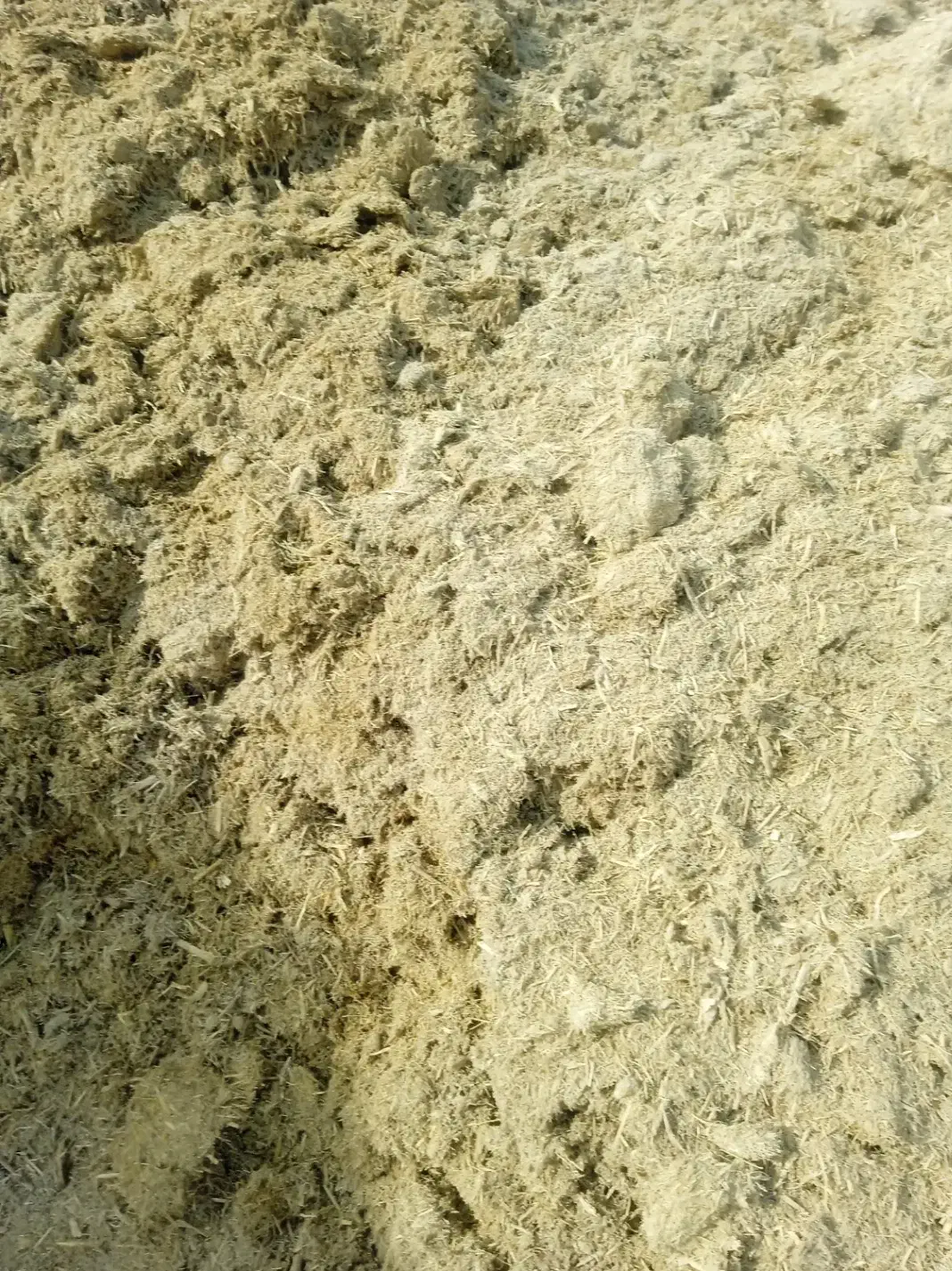 فروش خوراک دام باصرفه اقتصادی|لوازم جانبی حیوانات|سلیمان, |دیوار