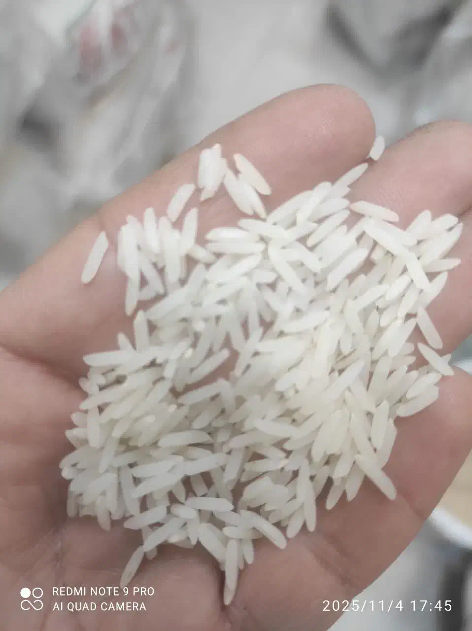 برنج|خوردنی و آشامیدنی|قم, نوبهار|دیوار