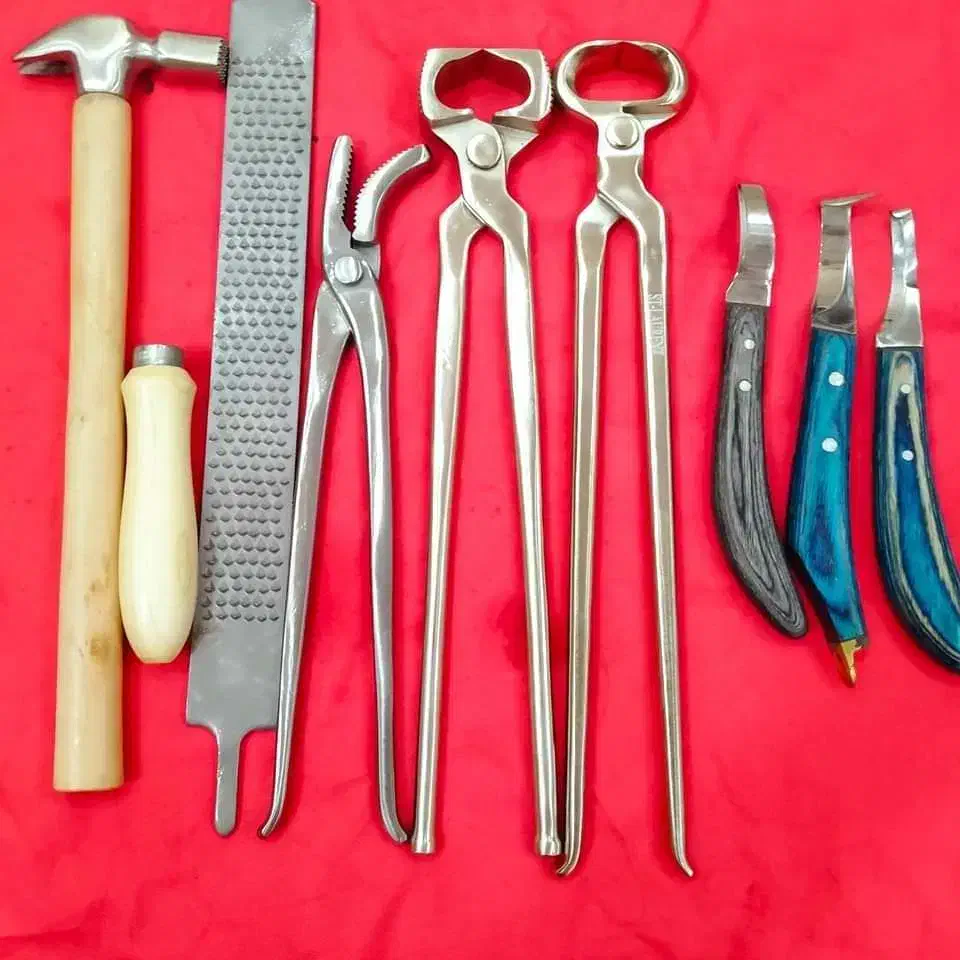 لوازم نعلبندی|اسب و تجهیزات اسبسواری|تهران, بوستان چیتگر|دیوار