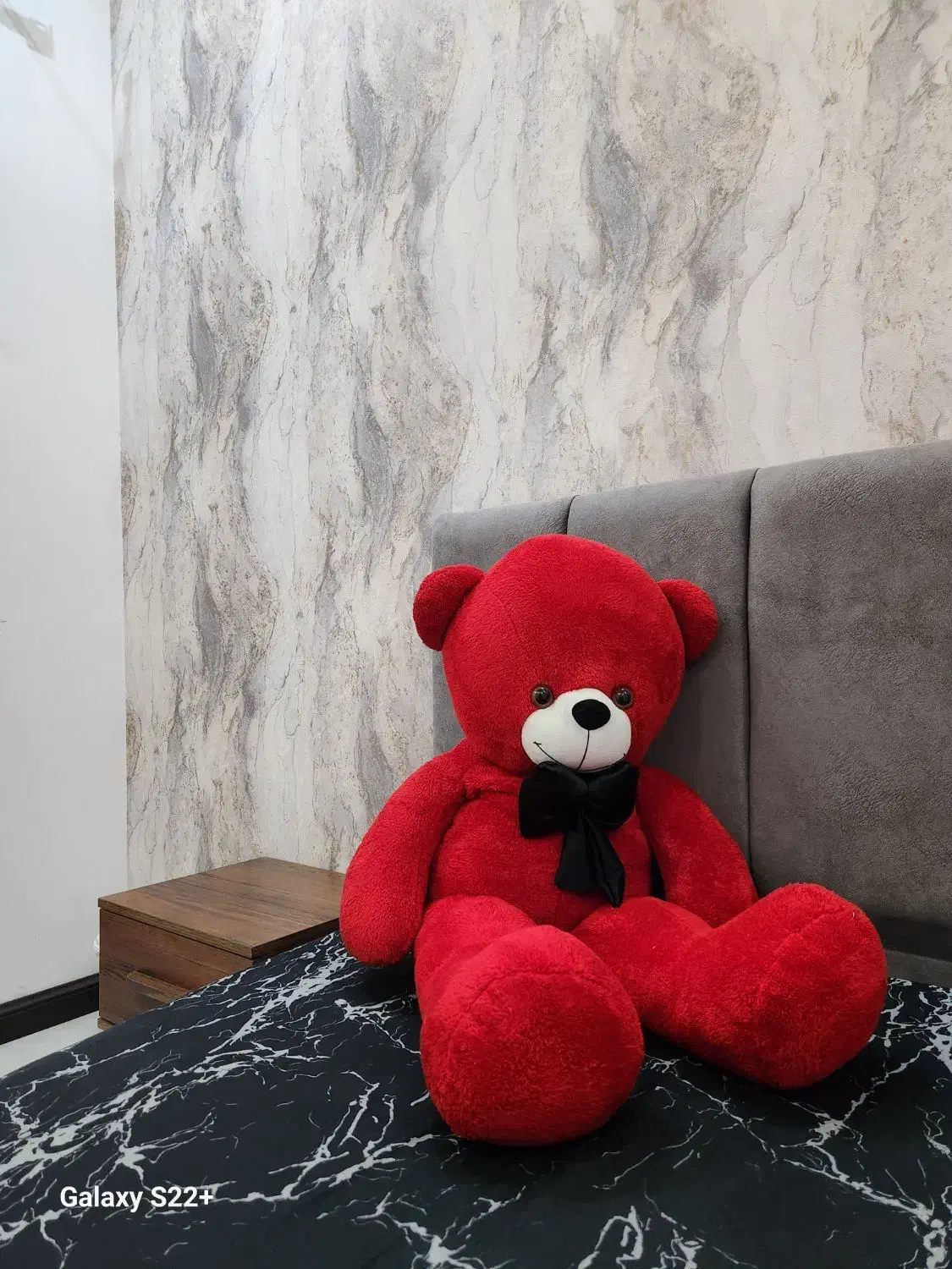 خرس شاسخین|اسباببازی|مشهد, شهید رضوی|دیوار