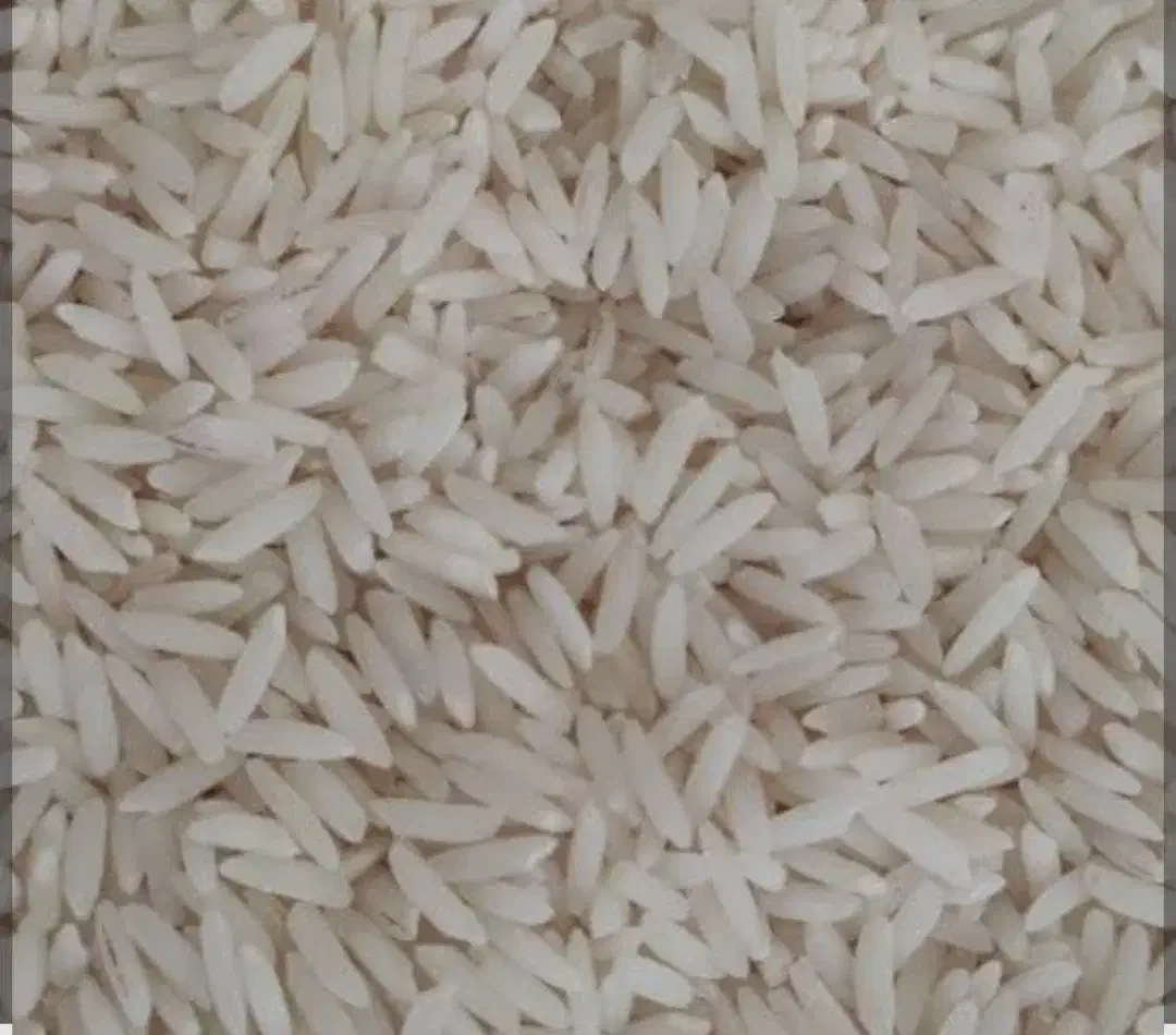 برنج طارم هاشمی.سرلاشه. مازندران|خوردنی و آشامیدنی|کیش, |دیوار