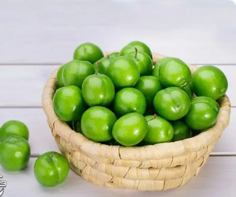 پیش فروش نهال گوجه سبز نخجوان|خدمات باغبانی و درختکاری|بابل, |دیوار