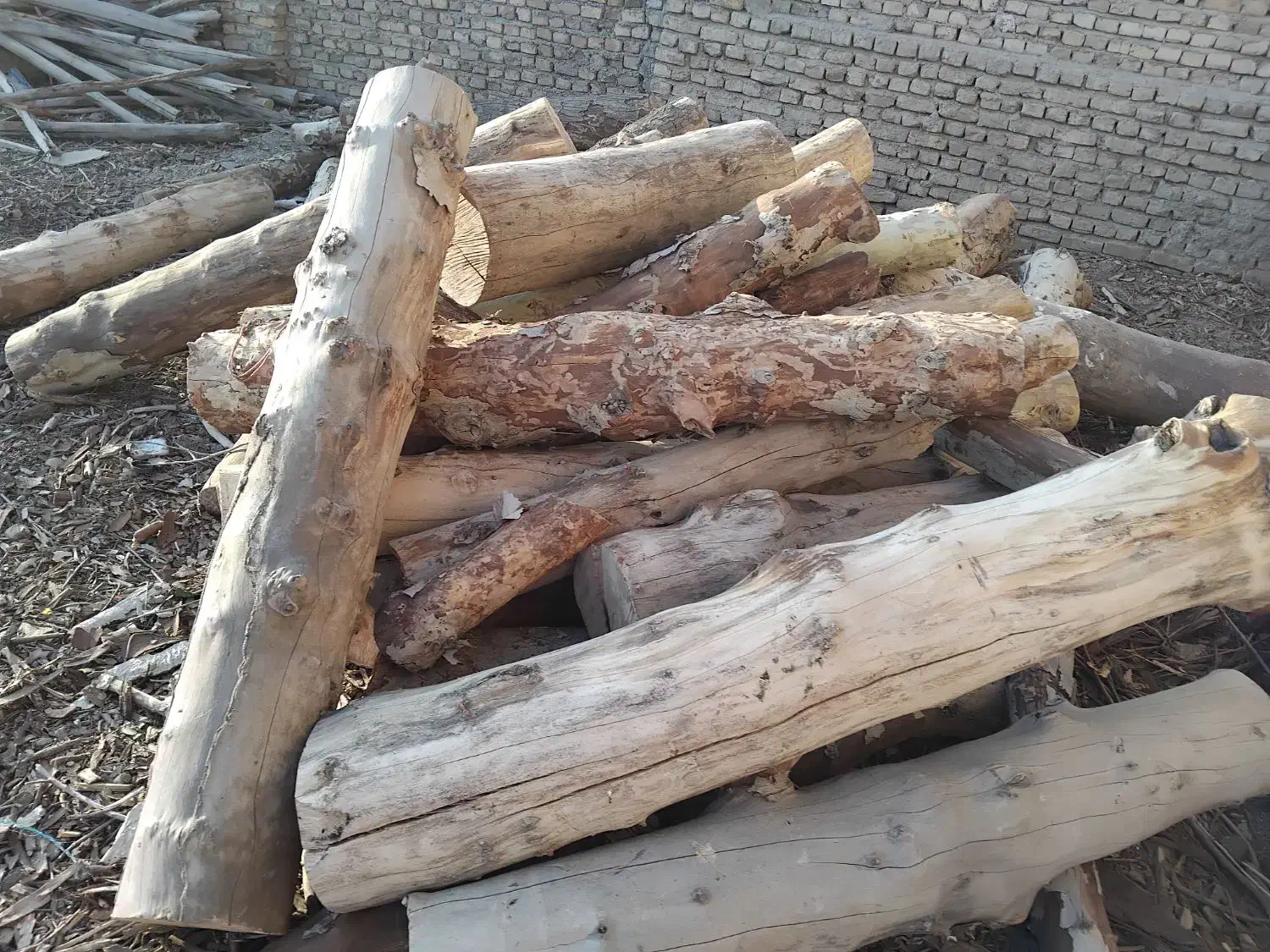 خرید چوب برش درخت هرس|خدمات باغبانی و درختکاری|لواسان, |دیوار