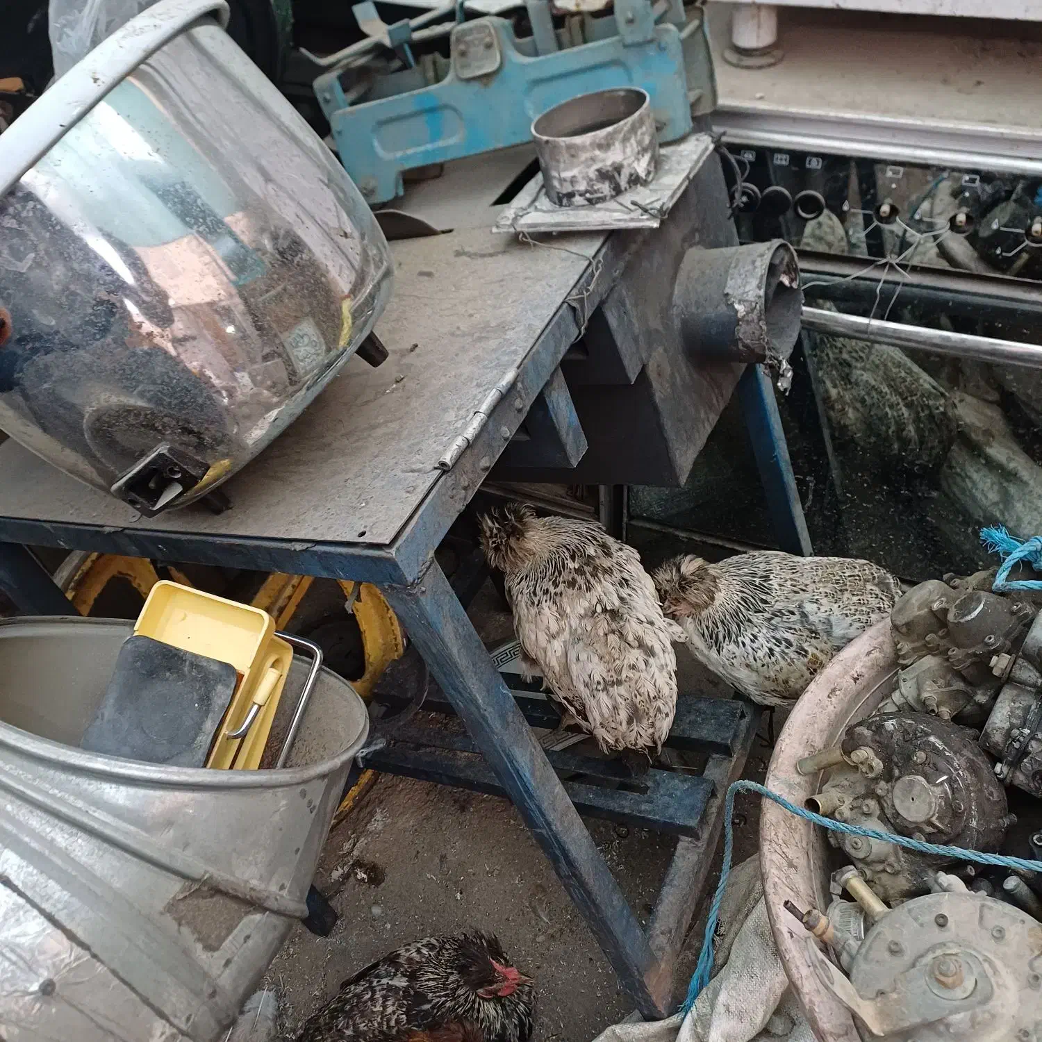 دستگاه ذغال سازدرحدنو|ماشینآلات صنعتی|قرچک, پویینک|دیوار