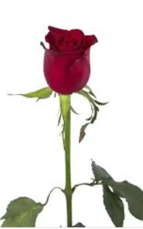 فروش مهرایران|کارت هدیه و تخفیف|بیرجند, |دیوار